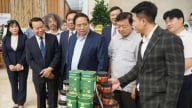 Đồng Nai có 8 sản phẩm OCOP đạt chuẩn 5 sao