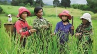 Hơn 88.000 hộ được hỗ trợ nhà ở theo dự án giảm nghèo