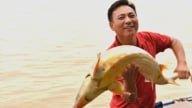 Người nuôi cá tầm dưới chân cầu Thanh Trì