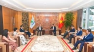 Petrovietnam và Perenco tăng cường hợp tác trong lĩnh vực năng lượng