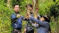 Quảng Ninh sẽ chi hơn 112 tỷ đồng/năm phát triển lâm nghiệp bền vững