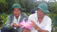 Điểm sáng nghiên cứu khoa học gắn với bảo tồn đa dạng sinh học
