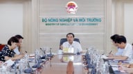 Ba trụ cột trong công tác sửa đổi chính sách, pháp luật