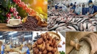 Giữ vững mục tiêu xuất khẩu nông lâm thủy sản