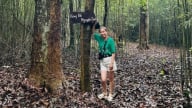 Quảng Ninh khơi thông tiềm lực du lịch sinh thái rừng