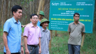 Vùng nguyên liệu gỗ lớn phải gắn chứng chỉ quản lý rừng bền vững