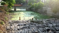 Phân rõ trách nhiệm giải quyết khiếu nại, tố cáo về bảo vệ môi trường