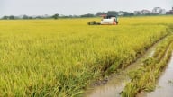 Cơ giới hóa đồng bộ giải phóng các công đoạn nặng nhọc cho nhà nông