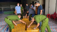 Phát hiện hơn 20 tấn nội tạng động vật bốc mùi