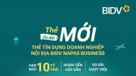BIDV Napas Business giải pháp thanh toán hiệu quả của doanh nghiệp