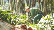 Nông nghiệp Bảo Yên ưu tiên 5 cây, 3 con