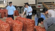 Ngành nông nghiệp và môi trường mở đợt cao điểm chống buôn lậu, hàng giả