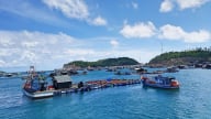 Tạo đột phá trong thể chế hóa chiến lược phát triển kinh tế biển