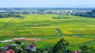 Đề xuất giảm tiền chuyển mục đích sử dụng đất