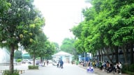 Xây dựng Bệnh viện xanh là giá trị cốt lõi, không chỉ là phong trào