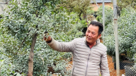Hà Nội kiện toàn Ban Chỉ đạo Chương trình mục tiêu quốc gia