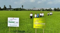 Sumitomo Chemical: Cầu nối công nghệ Nhật - Việt vì mục tiêu phát triển nông nghiệp bền vững