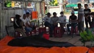 Người dân Quảng Ngãi liên tục phát hiện cá voi còn sống lụy bờ