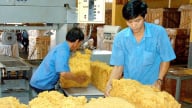 VRG lãi lớn trong quý I