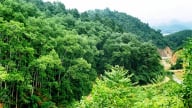 Quản lý, bảo vệ rừng và phòng cháy chữa cháy rừng trên địa bàn Hà Nội