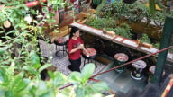 [Bài 2] Những điểm đến ‘xanh’ không chờ lệnh cấm