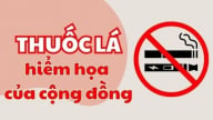 Infographic: Khói thuốc lá - hiểm họa với cộng đồng