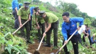 Đoàn Thanh niên Bộ Nông nghiệp và Môi trường trồng mới 5ha rừng tại Ba Vì