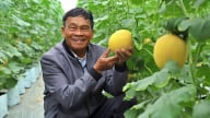 Mạch sống của nhà màng công nghệ cao