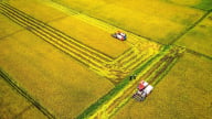 Krông Nô triển vọng thành điểm sáng nông nghiệp công nghệ cao
