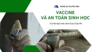 Vaccine và an toàn sinh học: ‘lá chắn kép’ trước dịch tả lợn Châu Phi
