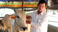 Tỷ lệ phủ vacxin đàn vật nuôi tối thiểu 80% mới phát huy hiệu quả