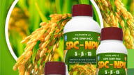 Phân bón lá NPK sinh học SPC-NPK 5-5-15