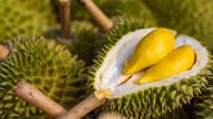 Lựa chọn phân bón đúng để nông sản không bị tồn dư Cadimi