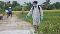 Chi hơn 144 tỷ đồng phòng, chống dịch bệnh động vật
