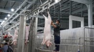 Gỡ khó cho giết mổ tập trung: [Bài 2] Doanh nghiệp chưa mặn mà