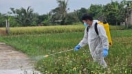 Hải Phòng kiểm soát hiệu quả dịch bệnh động vật
