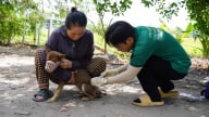 [Bài 3] 'Giảng đường' của sinh viên thú y