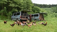 Người chăn gà du mục và ước mơ thay đổi hình ảnh nông dân Việt