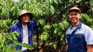 Yara Việt Nam cùng nông dân vượt khó nhờ mô hình PPP