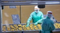 Lời giải công nghiệp hóa ngành chăn nuôi: [Bài 4] Sức bật công nghệ đưa sản phẩm Việt ra thế giới