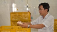 Hỗ trợ người dân chuyển đổi sang chăn nuôi quy mô trang trại