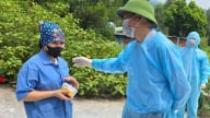 Tổ chức hệ thống thú y đảm bảo xuyên suốt từ tỉnh đến cơ sở