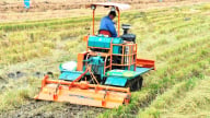 Lời kể từ nhà nông về phân bón Đầu Trâu Bio-Canxi