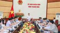 Dịch tả lợn Châu Phi lan rộng, Thanh Hóa triển khai nhiệm vụ cấp bách