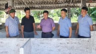 Đôn đốc chống dịch tả lợn Châu Phi tại Tuyên Quang