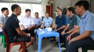 Kiểm tra loạt điểm nóng dịch tả lợn Châu Phi