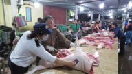 Quảng Trị kiểm soát giết mổ động vật: [Bài 1] Thiếu cán bộ có chuyên môn