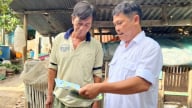 Cảnh giác cao với dịch bệnh, ổn định đàn heo