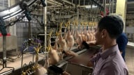 Siết quản lý vệ sinh lò mổ từ cơ sở lớn đến nhỏ