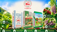 Phân bón Văn Điển tăng sức chống chịu cho cây công nghiệp miền núi phía Bắc